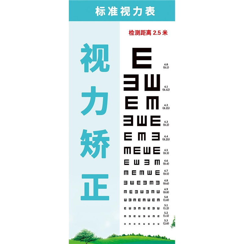 视力表国际标准儿童家用E字卡通测近视眼对数成人视力测试表挂图