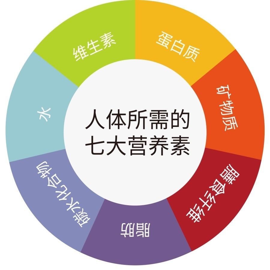 人体所需的七大营养素海报展板墙贴墙纸装饰画kt板