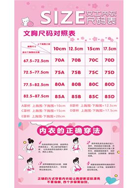 服装店内衣店文胸选购尺码图对照表挂画贴纸文胸小贴士