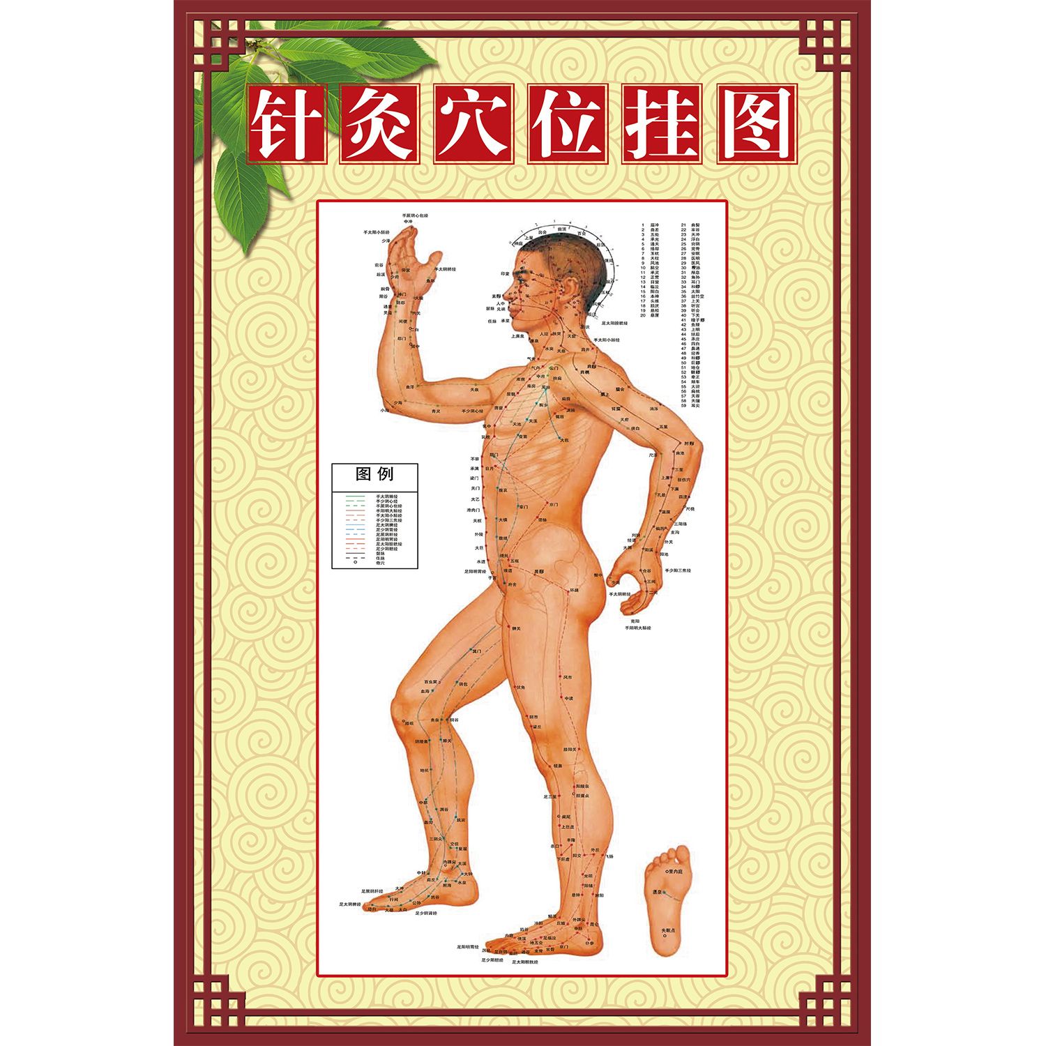 人体针灸穴位图大挂图标准高清经络图中医艾灸推拿按摩针灸养生