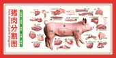 猪肉店贴画猪肉分割图PP胶写真贴肉分切图海报猪肉墙画图片宣传图