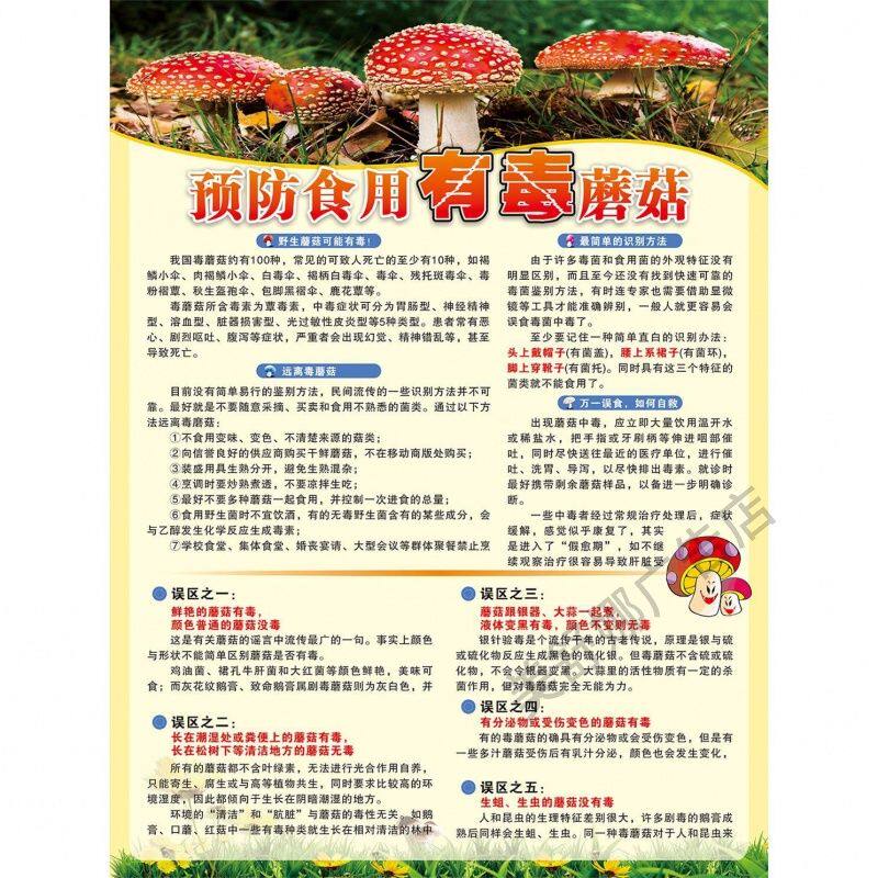 远离毒蘑菇宣传海报勿采毒蘑菇告示常见毒蘑菇贴图毒蘑菇的认识图