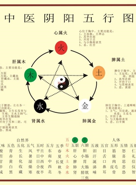 中医养生五行子午流注挂图 金木水火土五行图五脏六腑墙贴海报