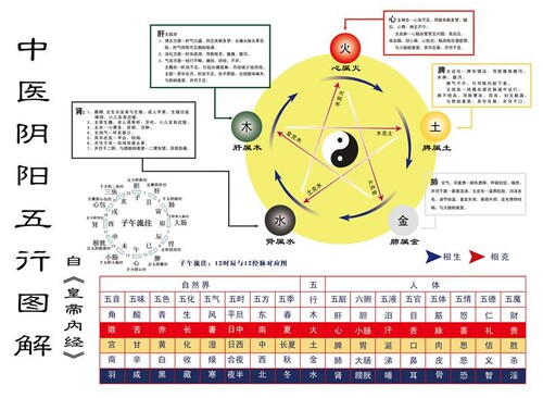 中医阴阳五行图解海报中医五行养生图阴阳五行四季十二时养生图