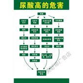 尿酸高 危害宣传海报墙贴挂图中医院尿酸常识海报墙贴墙纸kt板