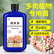 君德多肉营养液专用型增肥增色爆芽生根家用室内室外养花多肉肥料