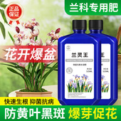 兰灵王兰花专用肥料营养液EM菌营养液君子兰蝴蝶兰建兰墨兰石斛