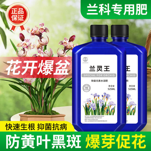 墨兰石斛兰花专用营养液肥料君德