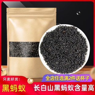 黑蚂蚁500g克正品 中药材大黑蚂蚁长白山黑蚂蚁非黑蚂蚁干野生泡酒