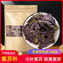 紫苏叶中药材500g克紫苏叶泡水野紫苏叶干泡茶泡脚生小叶紫苏叶粉