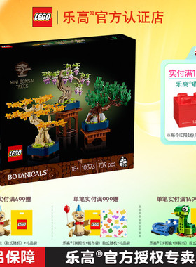 LEGO乐高10373迷你乐高盆景男孩女孩拼搭积木儿童玩具礼物
