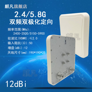 2.4G5.8G双频双极化定向天线12dbi两端口双端口wifi6信号放大路由器室外AP基站网桥网关壁挂平板定向天线