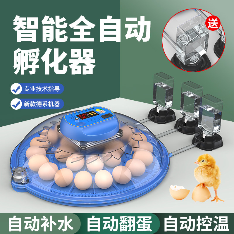 1/4吋套筒扳手碟孵化器家用全自动孵蛋器小型智能孵化机芦丁鸡小