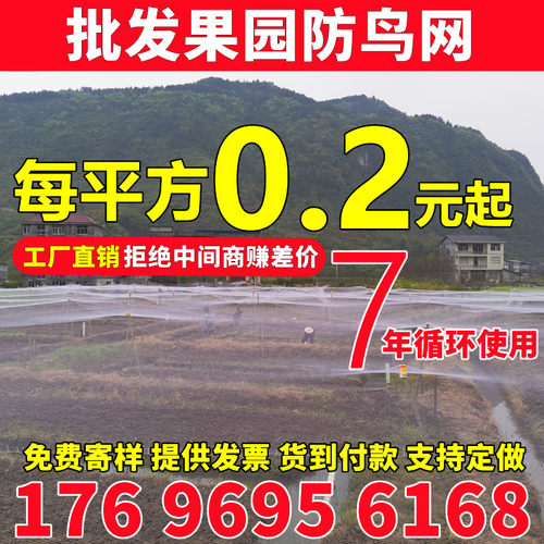 全新料抗老化果园防鸟网鱼塘天网