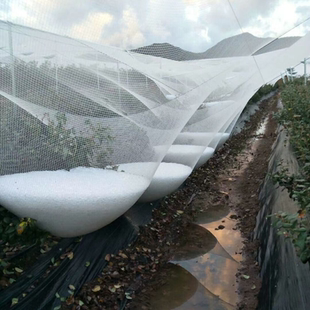 葡萄防雹网果园果树防鸟网农用天网苹果冰雹网大棚防护网罩养殖网