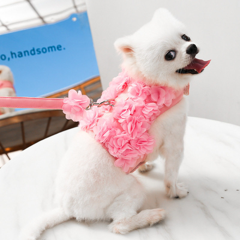 小中犬狗狗猫咪宠物衣服