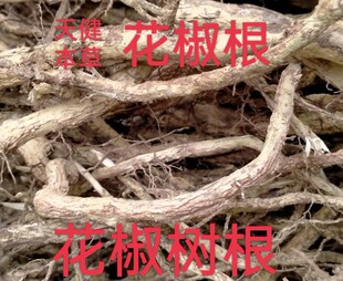 花椒根中药材花椒树根野花椒树根新鲜干货