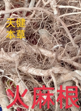 火麻根中药火麻茎叶全草火麻仁草根黄麻根线麻草根汉麻根火麻子仁