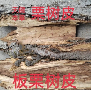 栗树皮中药材板栗树皮栗树白皮栗毛球板栗壳板栗刺壳