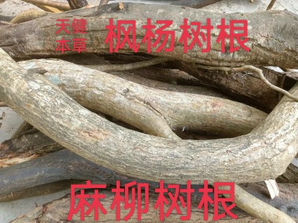 麻柳根中药材枫杨树根麻柳叶麻柳皮枫柳皮枫杨树皮枫杨树叶干货