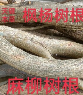 麻柳根中药材枫杨树根麻柳叶麻柳皮枫柳皮枫杨树皮枫杨树叶干货