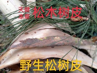 松树皮中药松木皮赤松皮赤龙鳞松皮松木树皮赤龙皮松根松笔头松叶