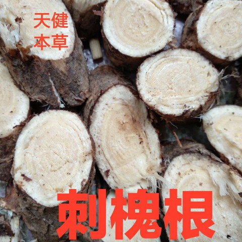 野生刺槐根中药刺槐枝洋槐树根槐树根刺槐花洋槐花新鲜干货250克