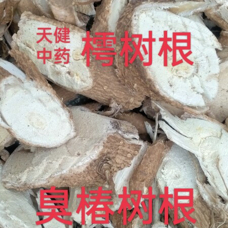臭椿树根中药材樗树根樗根皮臭椿根白皮椿白皮臭椿皮臭樗皮椿树皮