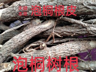 泡桐根中药材泡桐根皮紫花桐根桐树根泡桐树根泡桐花泡桐果泡桐叶