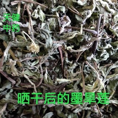 墨旱莲中药材菊科鳢肠莲子草旱莲草墨斗草水旱莲墨汁草干货