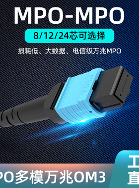 博雁翔mpo光纤跳线铠装MT万兆多模MTP8 12 16 24芯QSFP28光模块40G/100G集束LC OM3适用华为思科交换机 定制