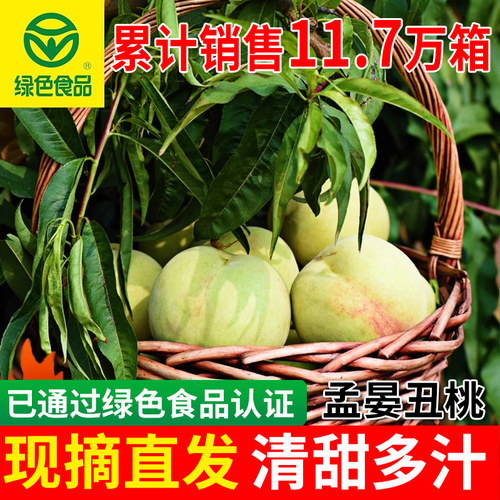 25年鲜桃上市 210天自然成熟 现摘直发 清甜