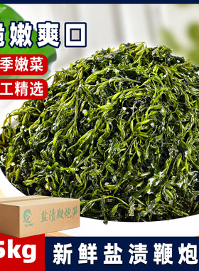美丽海鲜小铺 盐渍鞭炮笋5斤/箱 又名马尾藻 火锅食材商用批发