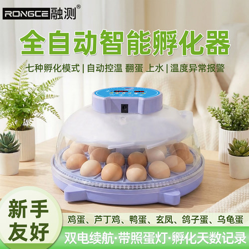 孵化器小型家用孵蛋器全自动智能小鸡芦丁鸡鹦鹉鸟鸭鹅乌龟孵化箱