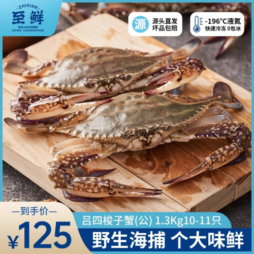 至鲜吕四梭子蟹新鲜海捕大螃蟹