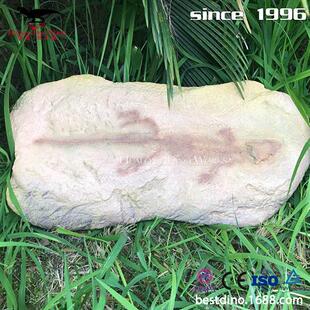 天然树脂制作恐龙化石骨架仿真动物海洋生物博物馆公园摆件.