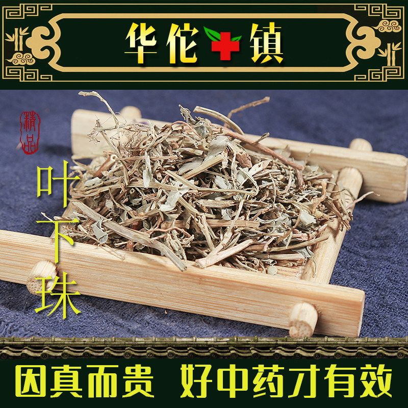 叶下珠中药材500g新货野生叶下珠珍珠草龙珠草鱼鳞草正品广西特产,传统滋补营养品,其他药食同源食品,淘宝优惠券,粉丝福利购,淘宝优惠卷