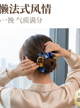 真丝桑蚕丝22姆米高级感大肠发圈