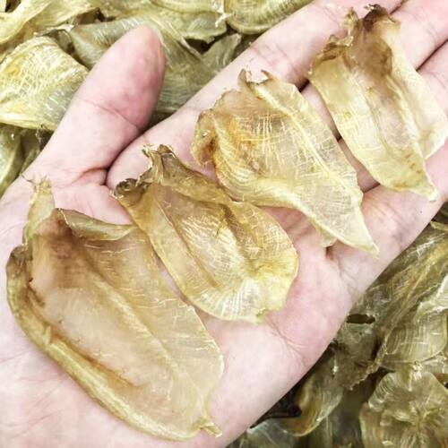 白花鱼胶价格 白花鱼胶图片 星期三