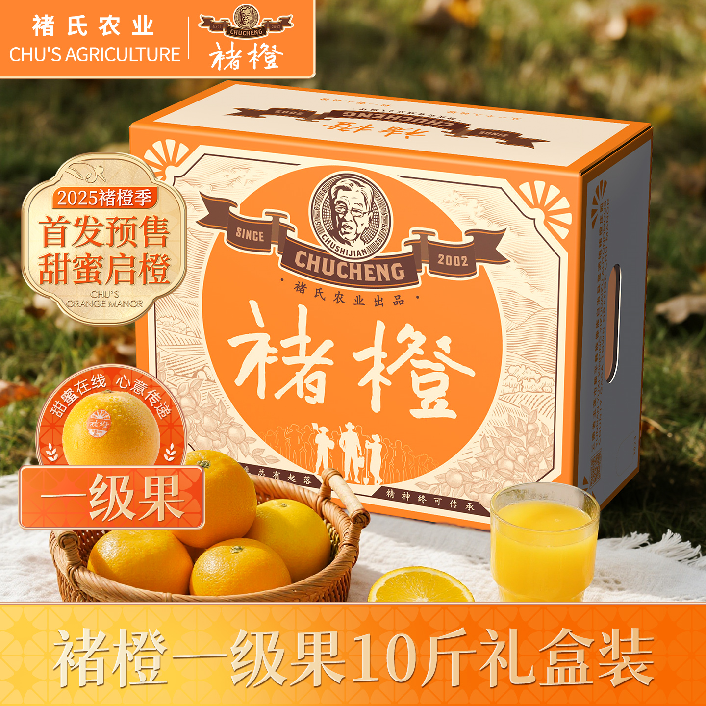 褚橙10斤云南玉溪冰糖橙礼盒装