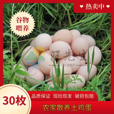 农家散养竹林土鸡蛋草鸡蛋柴