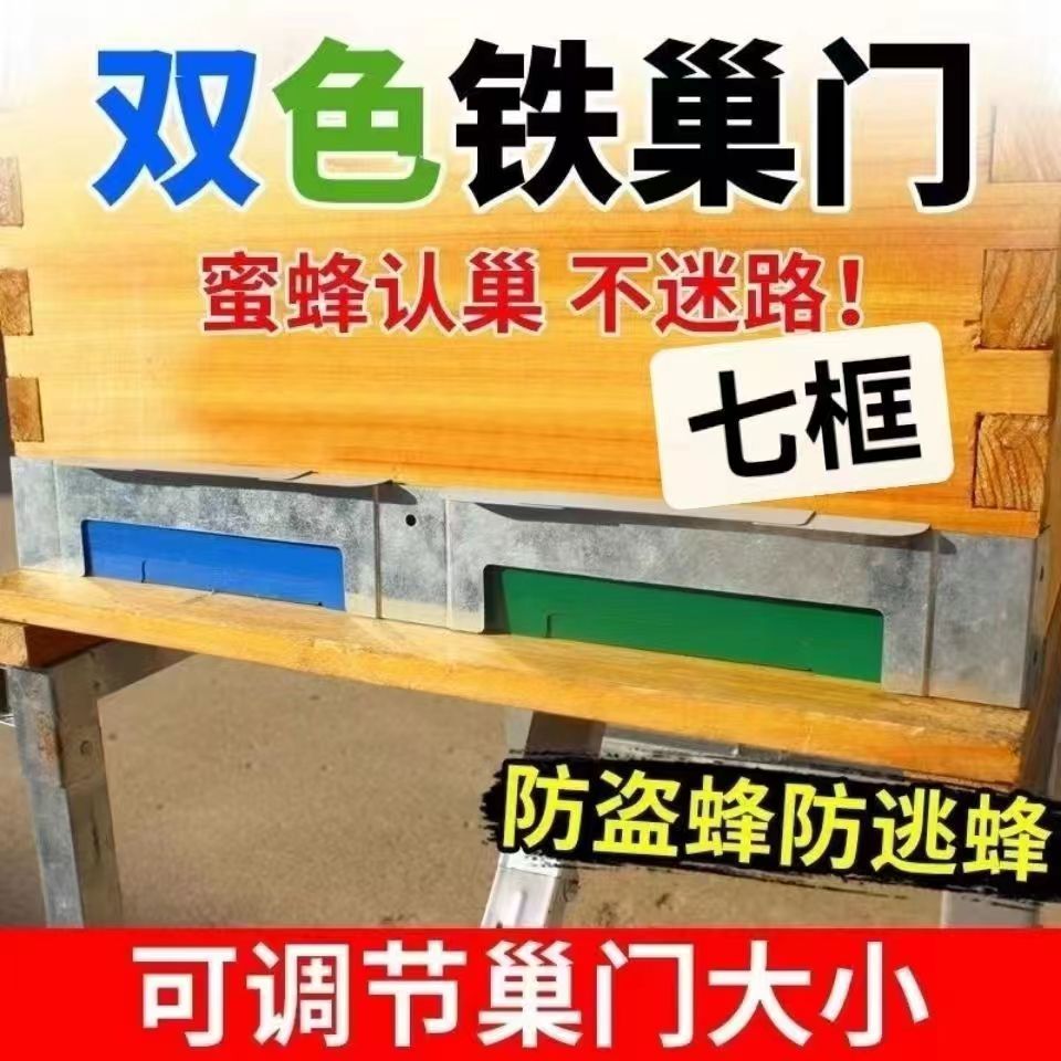 中意蜂巢门箱巢门蜂王