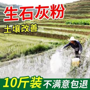 种菜专用石灰粉生石灰杀虫消毒干燥剂菜地驱蛇粉养殖土壤除湿防潮