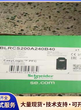 全新正品施耐德电容BLRCS200A240B40议价0