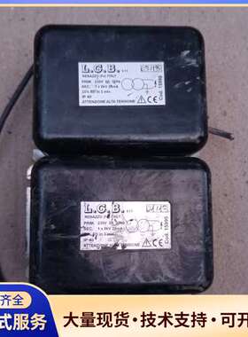 意大利LGB点火变压器，型号15995，输入电压230V 数