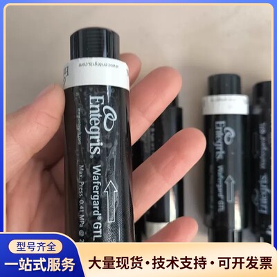 ENTEGRIS WGFG01DSH，过滤器原装进口正品需要询价