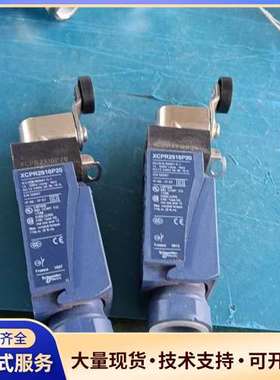 全新施耐德限位开关 XCPR2918P20