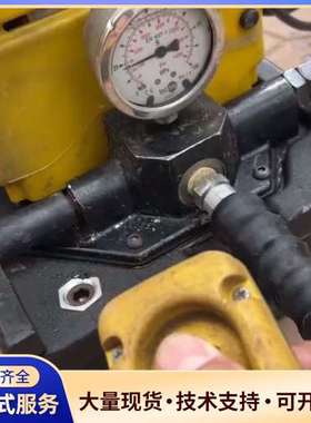 ENERPAC美国恩派克 液压泵,两台，通电，电机转，有压力