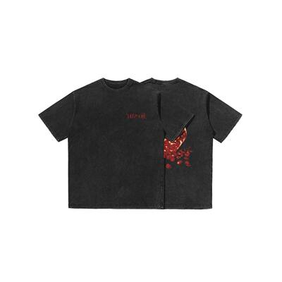 明星周边蔡依林 PLEASURE演唱会印花T恤美式潮牌复古纯棉男女