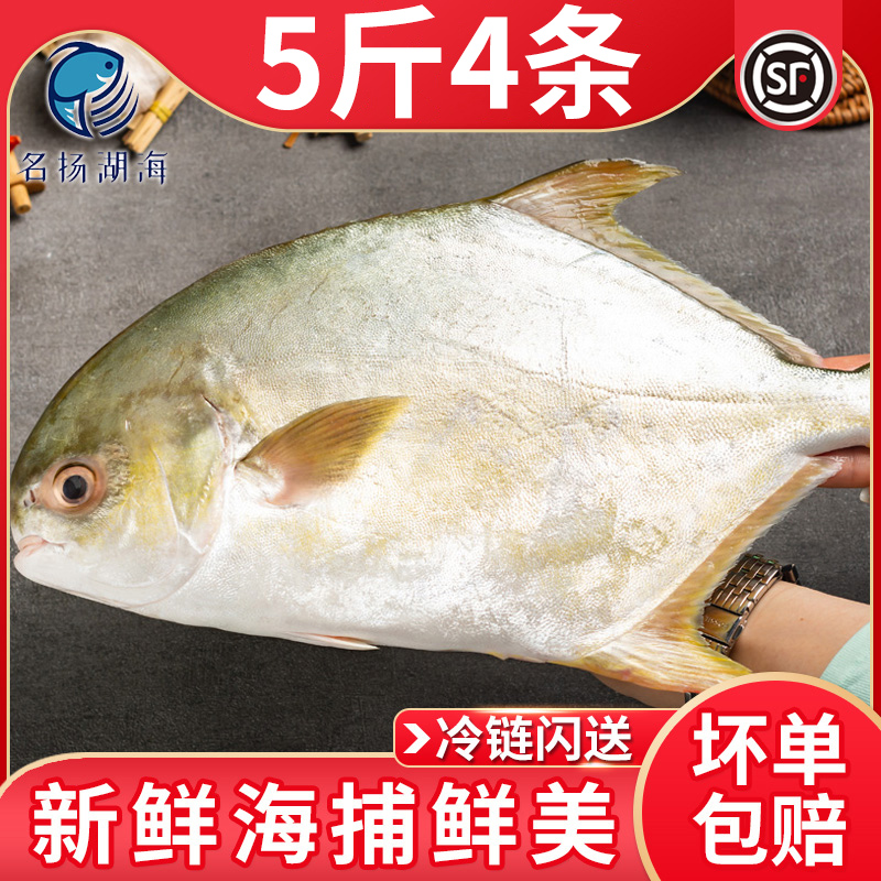 名扬湖海新鲜金鲳鱼5海鲜水产